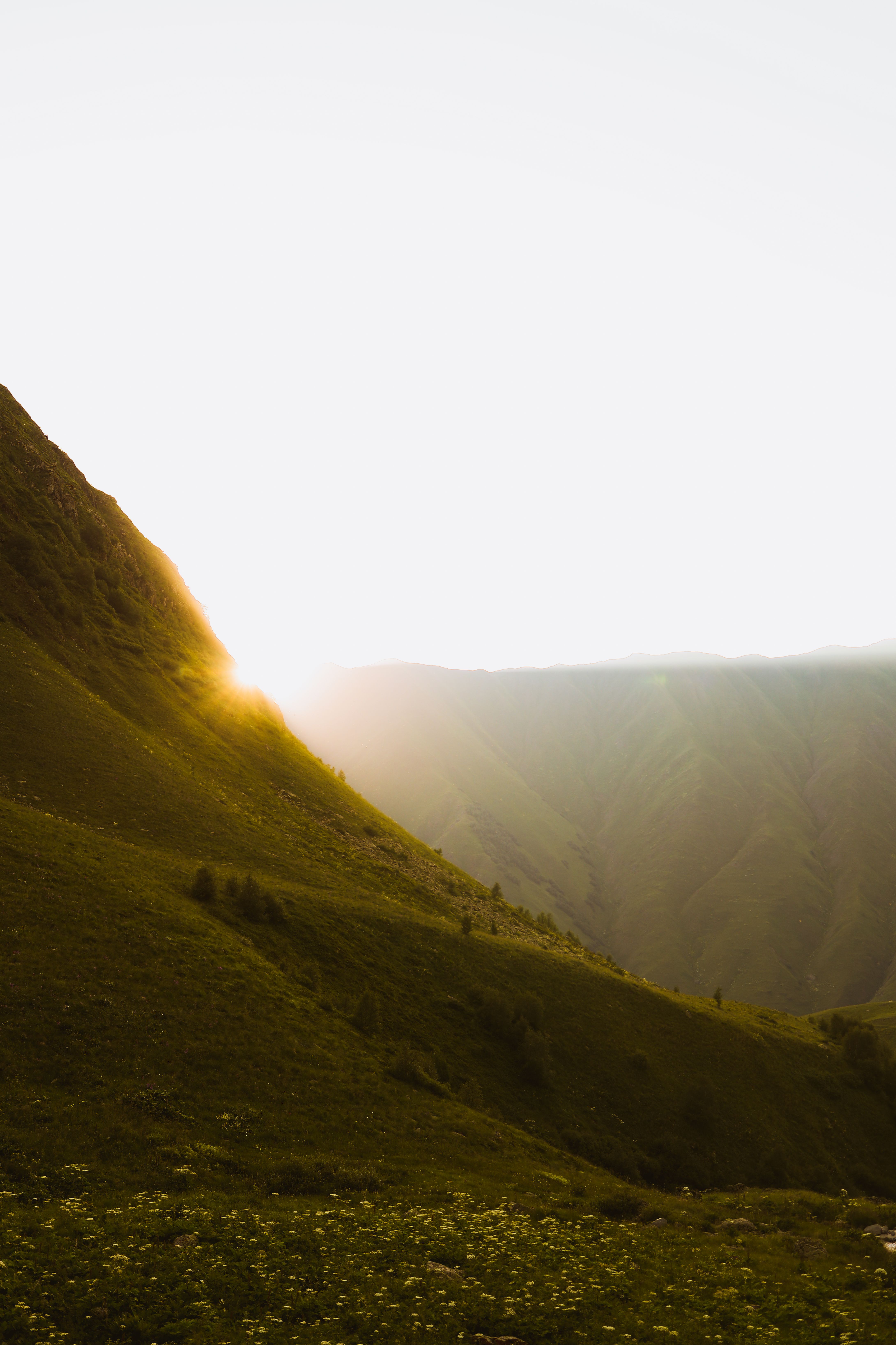 Green Valley at Sunset · Free Stock Photo
