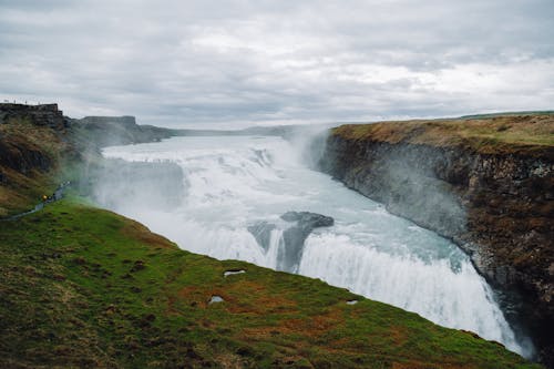 hvita, アイスランド, かもめの無料の写真素材