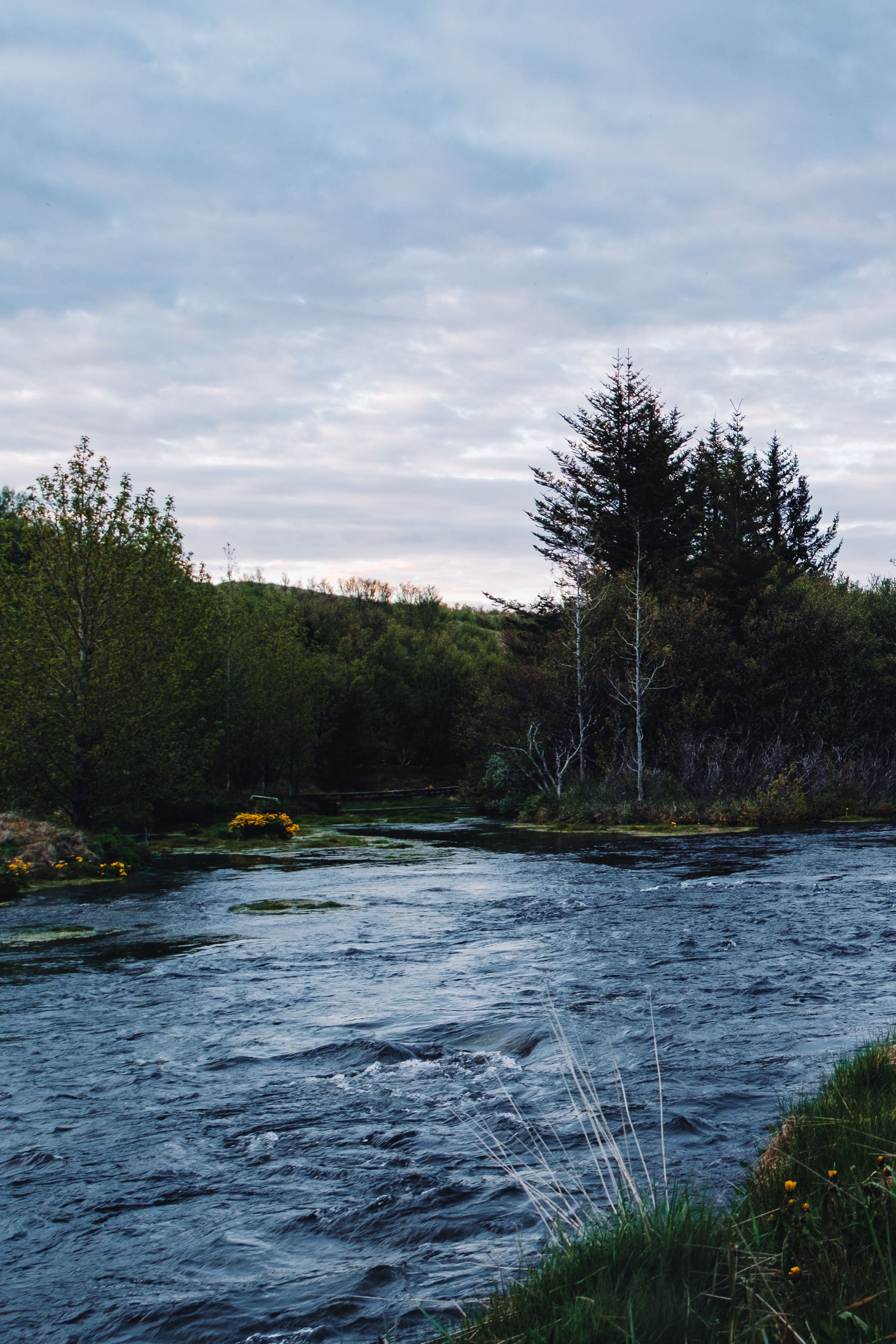 A river is flowing through a forest · Free Stock Photo