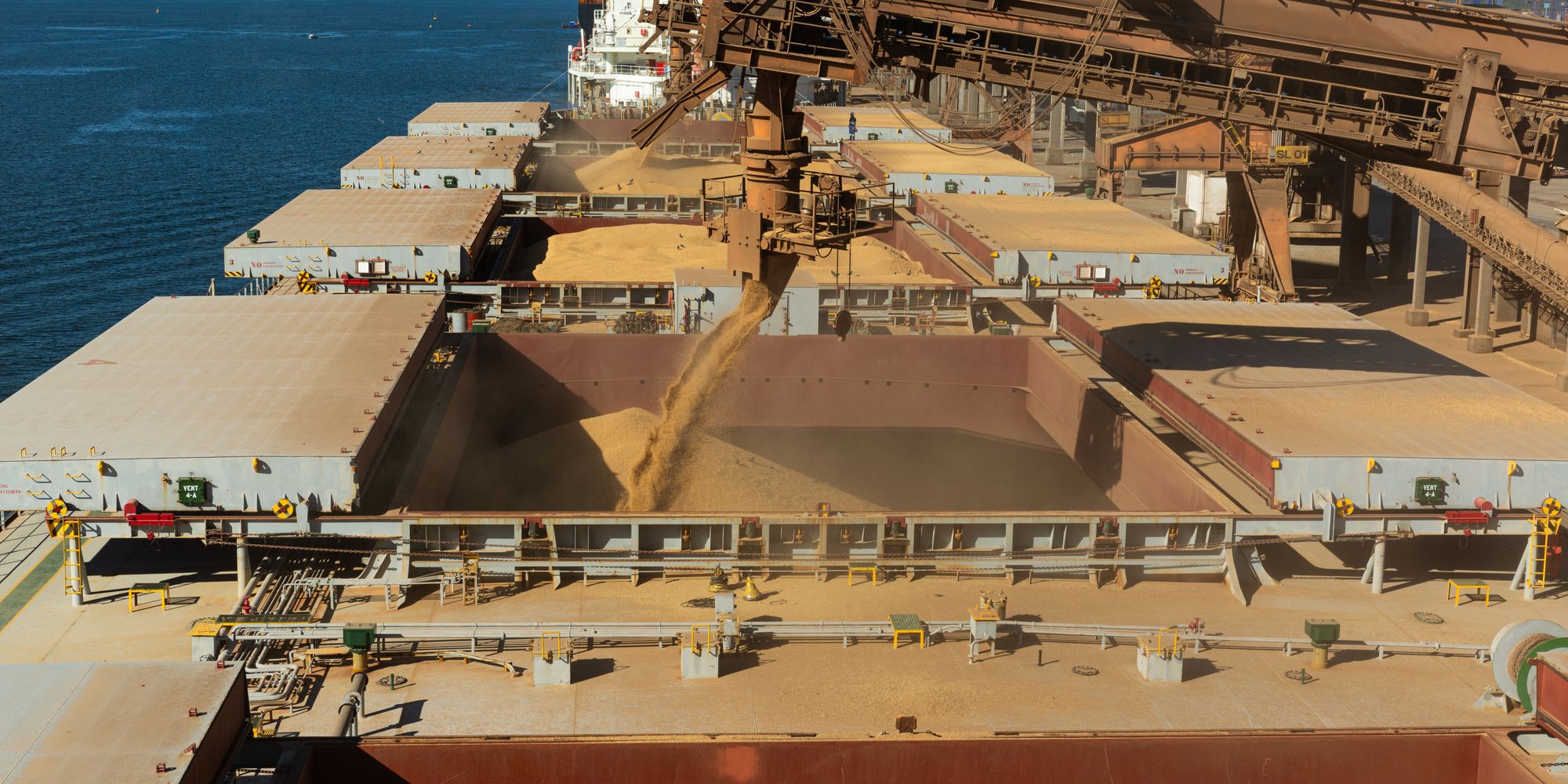 Terminal graneleiro de exportação — embarque de soja e algodão NR-29