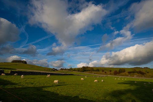 Gratis stockfoto met akkers, hemel, landschap