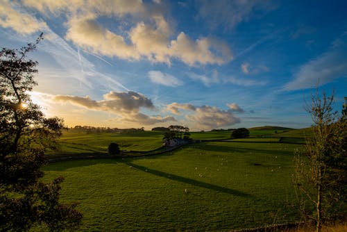 Gratis stockfoto met akkers, hemel, landschap