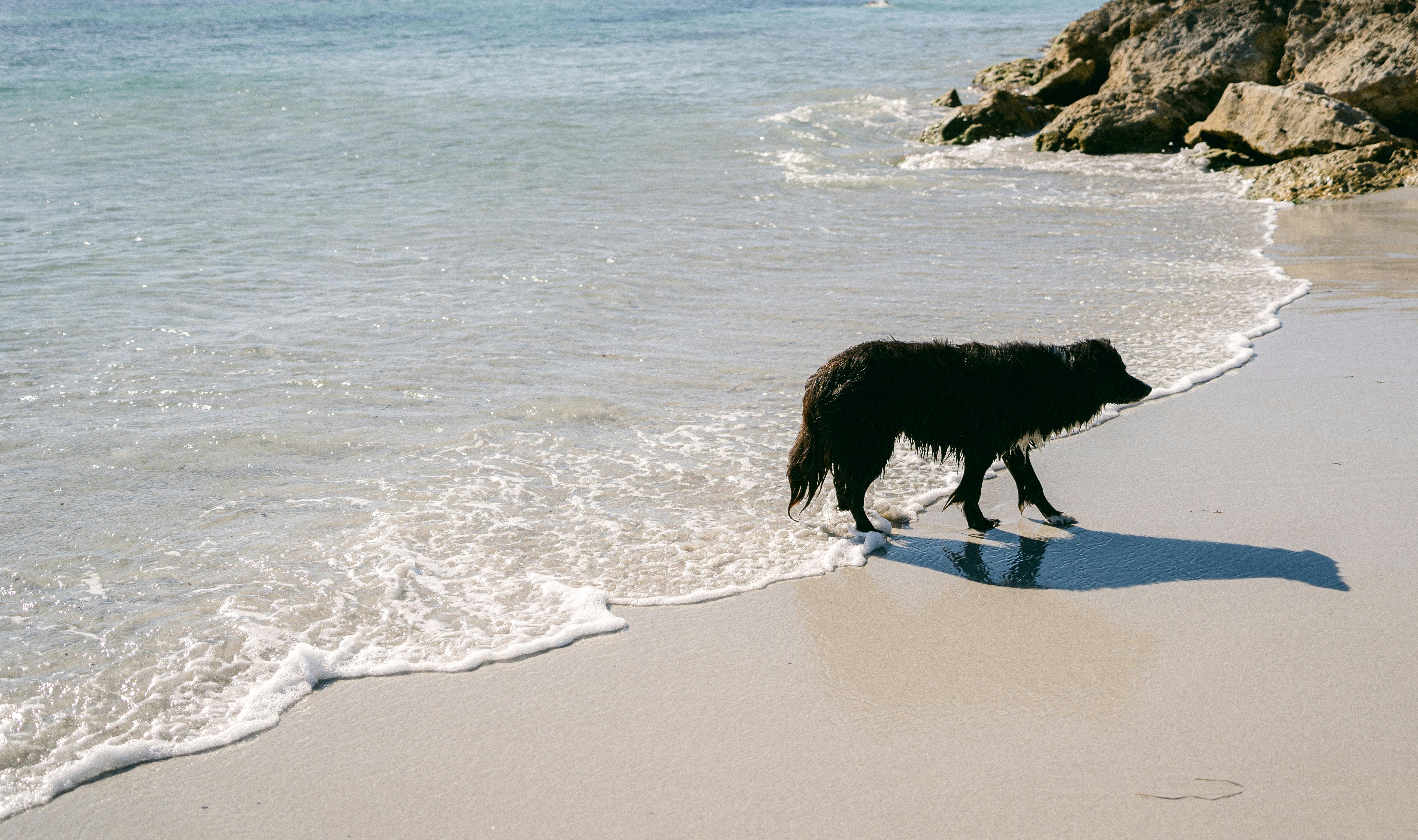 打騷擾電話是否會構成侵權行為