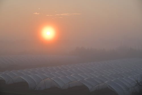 Free stock photo of mist, sunset