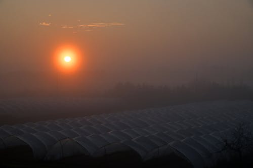 Free stock photo of mist, sunset