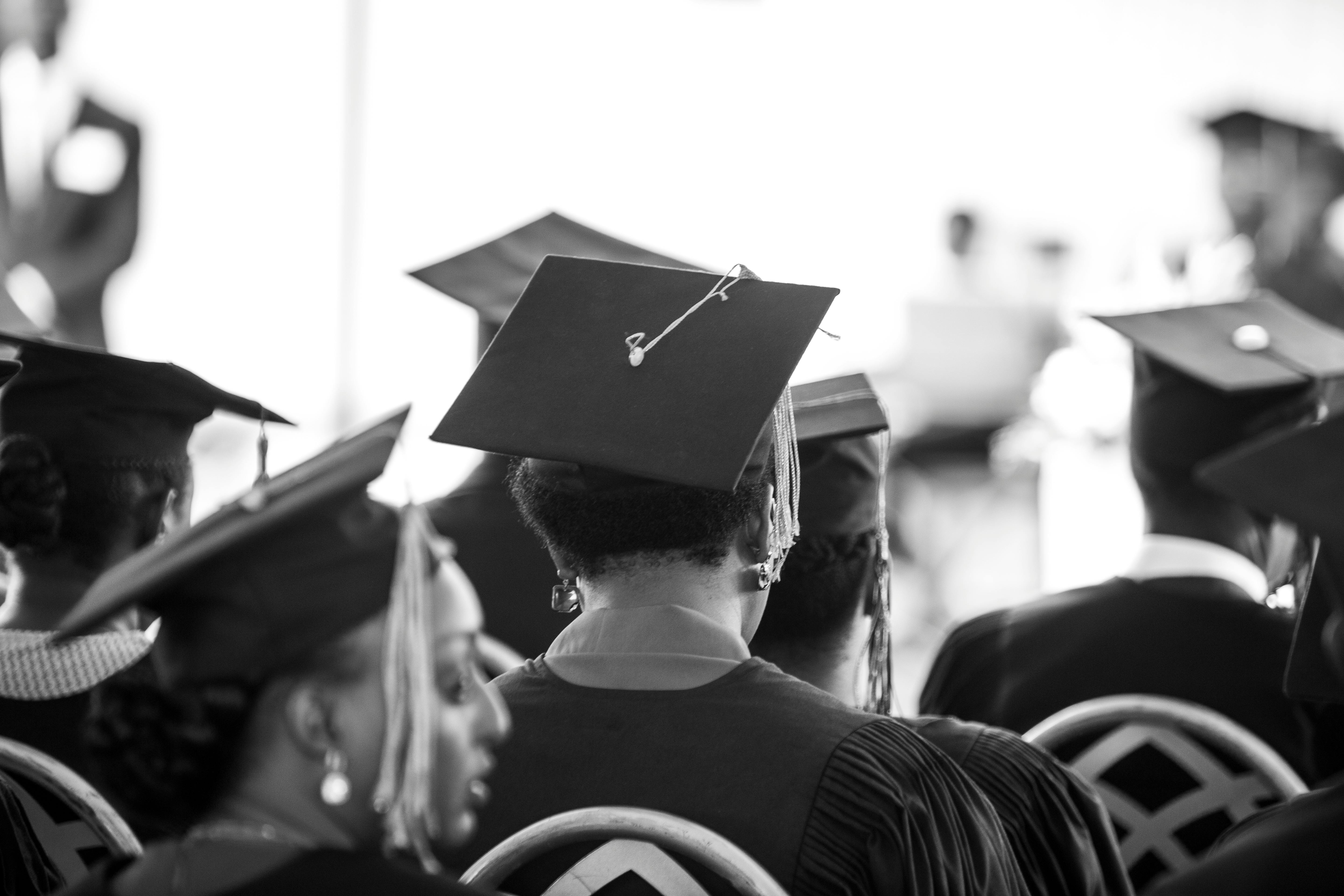 New General Education Requirements Coming to UWSP. — Photo by Safari  Consoler on Pexels