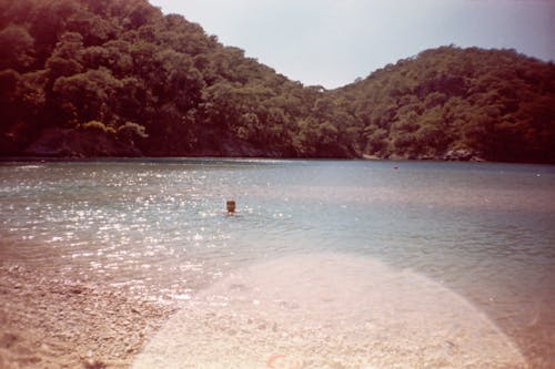 Film Photograph of a Body of Water and Hills Covered in Trees