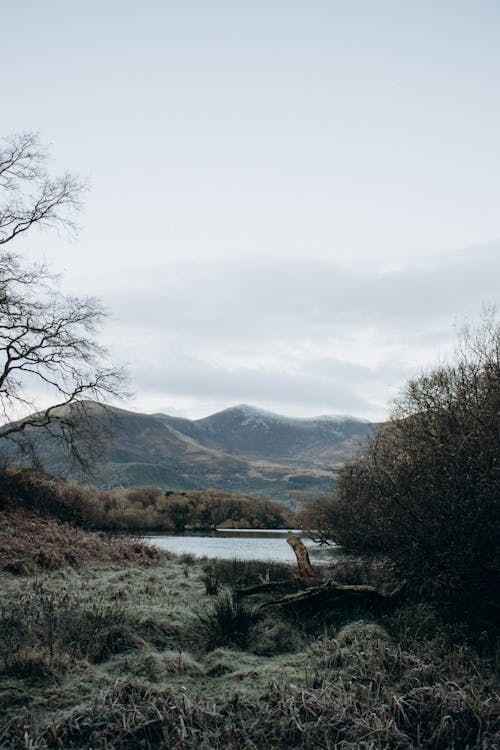 Stream in a Mountain Valley 