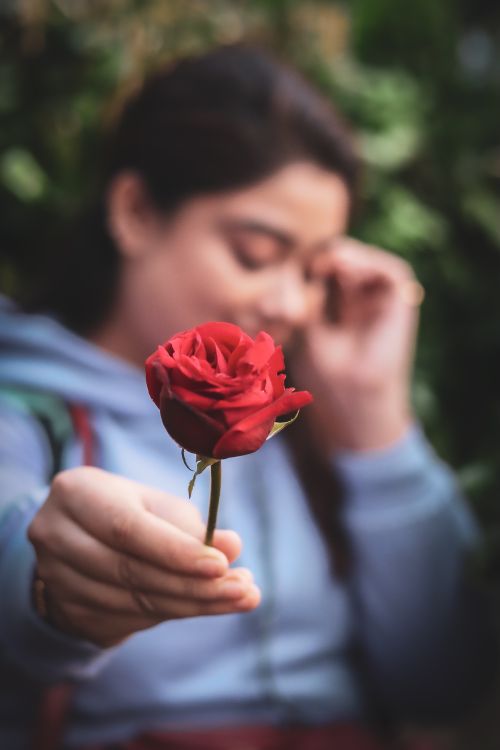 Free A woman extends a red rose, capturing a moment of romance and beauty. Stock Photo