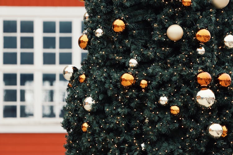 Baubles On A Christmas Tree 