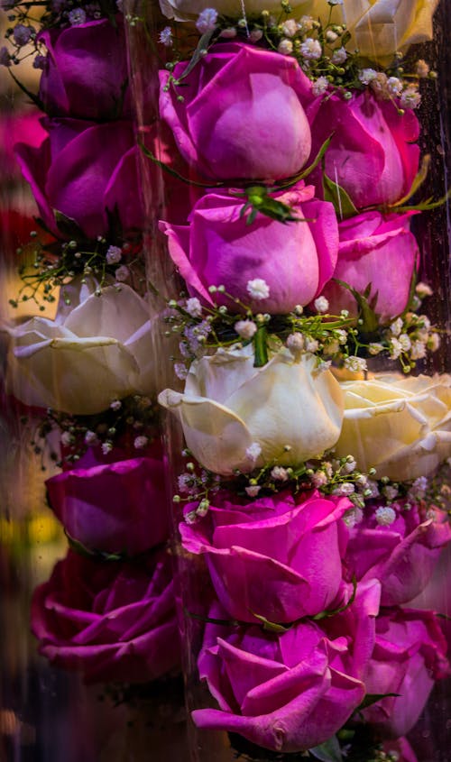Foto profissional grátis de branco, casamento flor, flor