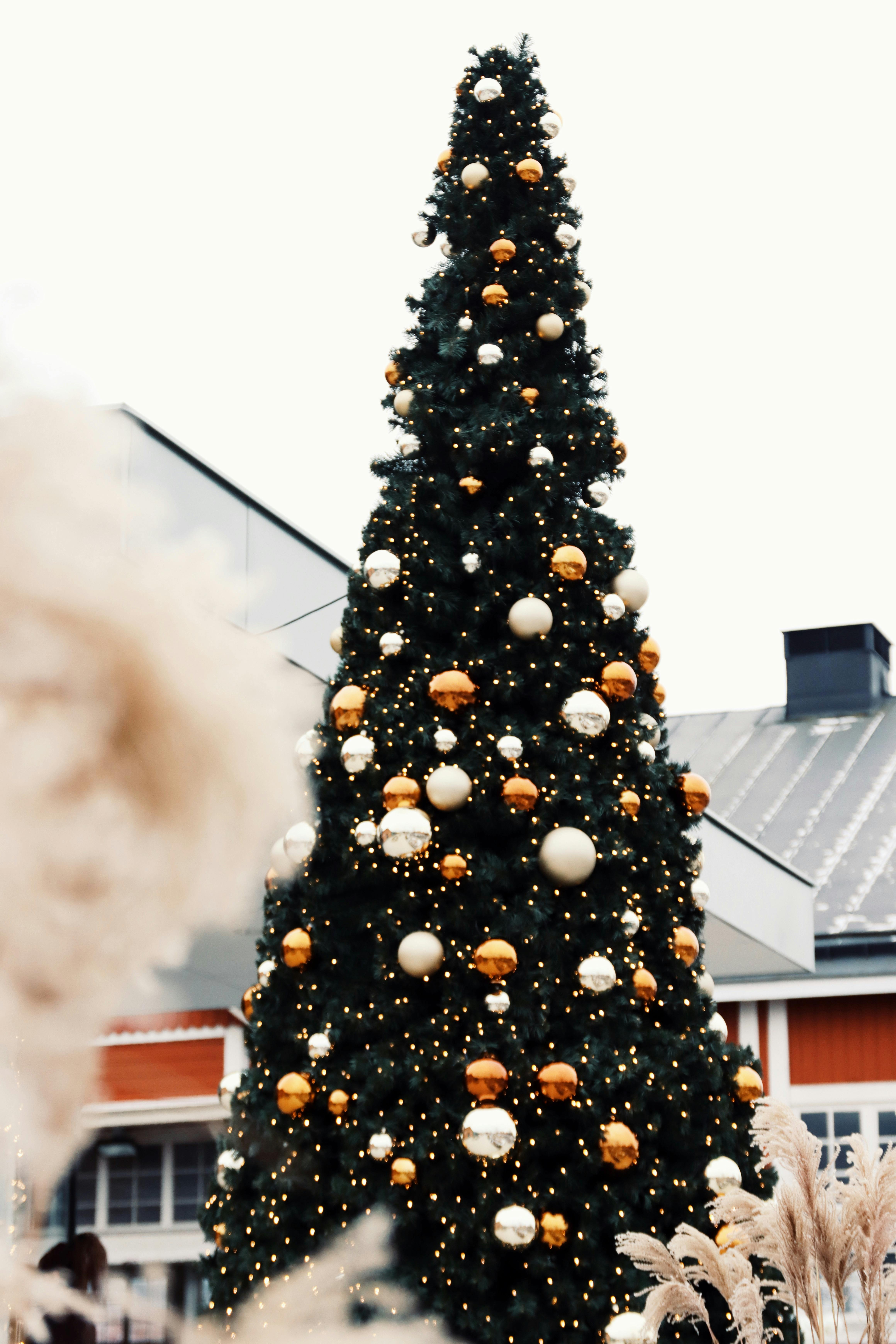 Calendar december 2023 photos download the best free calendar december