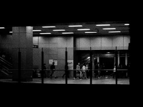 Fotos de stock gratuitas de blanco y negro, caminando, estación de metro