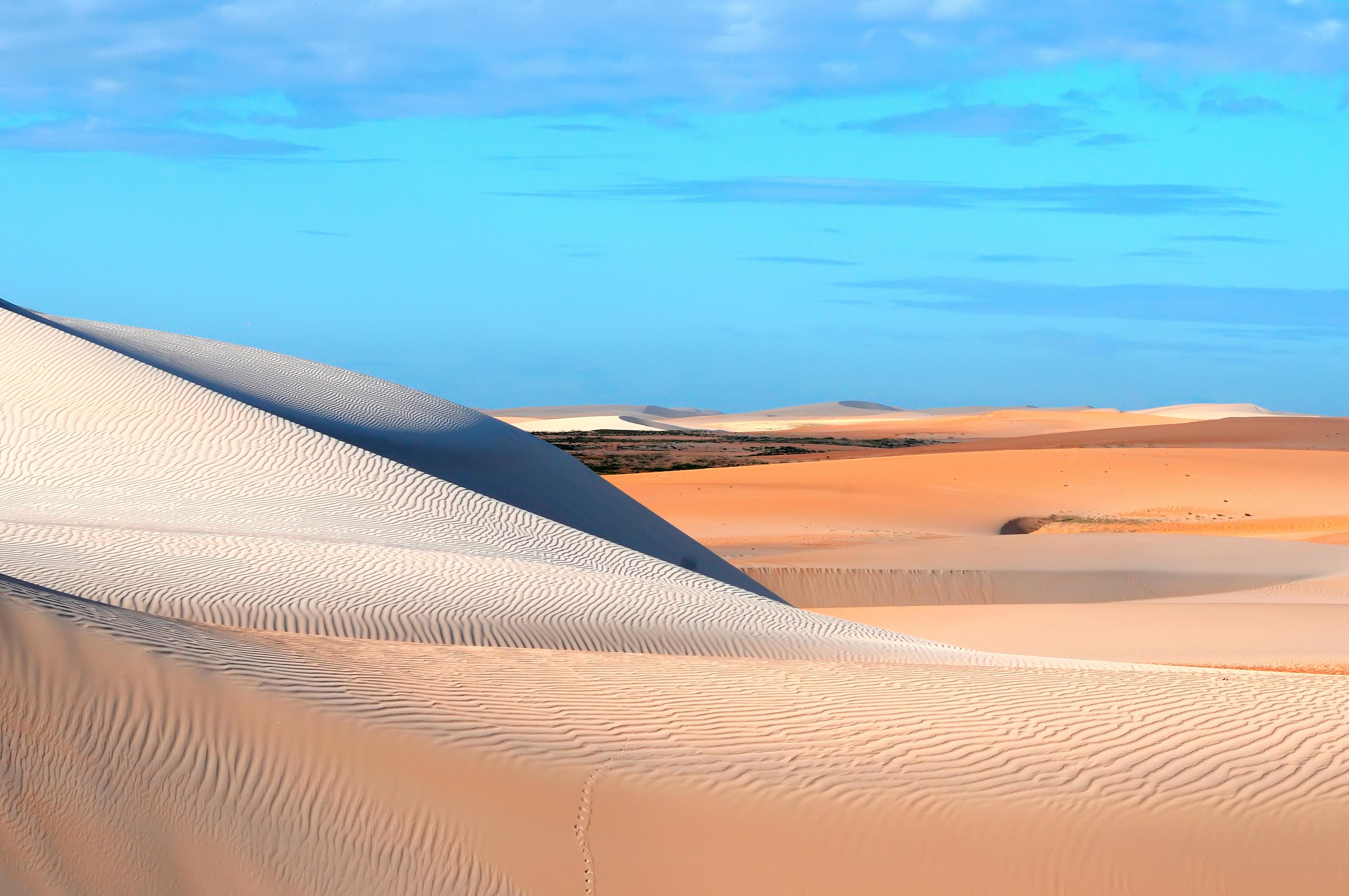 desert erg Morocco wind-sculpted undulating sand dunes close-up