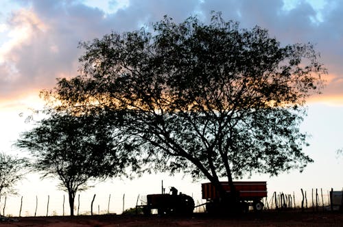 Tractor with Trailer on the Edge of the Field at Dusk