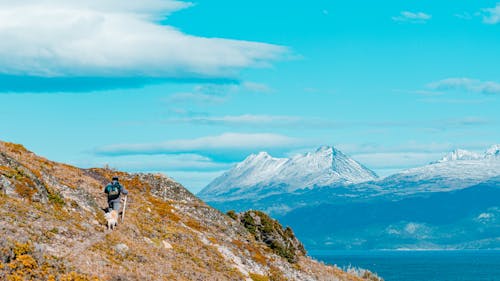 and dağları, Arjantin, patagonia içeren Ücretsiz stok fotoğraf