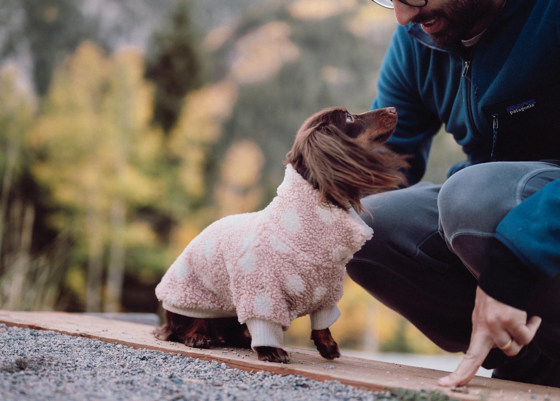 Människa och hund i mjuka kläder