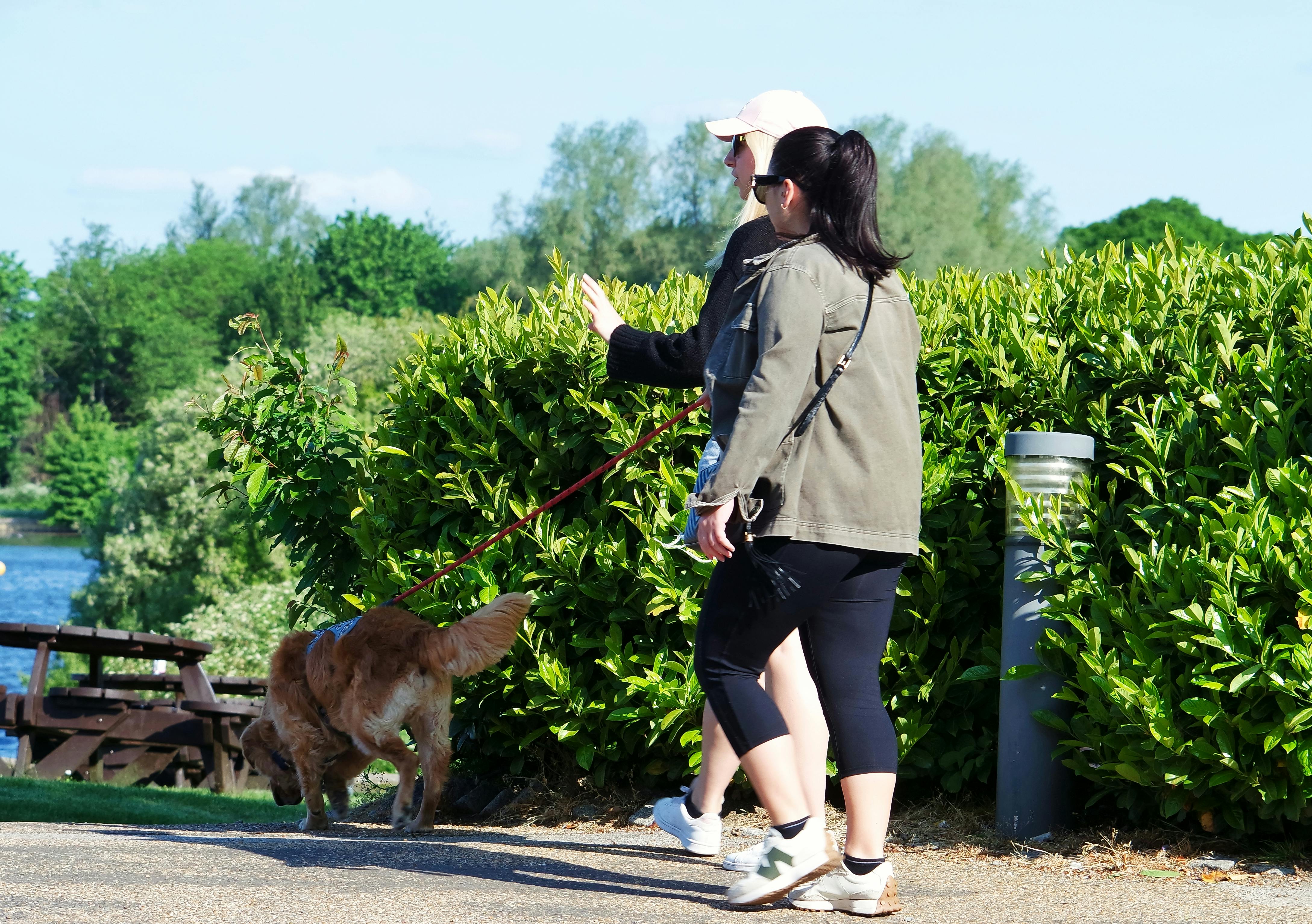 A minimalist logo design with a stylized medical cross and a wordmark.