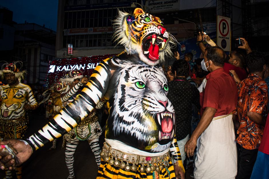 Colorful night festival featuring painted tiger costumes and vibrant performances captured in a lively street setting.