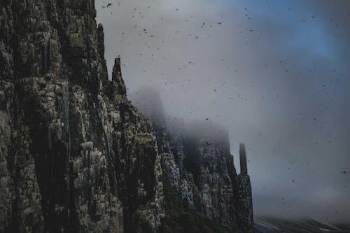 Photos gratuites de abrupt, brouillard, falaise