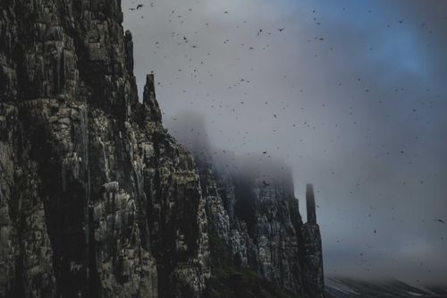 Free Stunning view of rocky cliffs enveloped in fog with birds in flight, creating a dramatic scene. Stock Photo