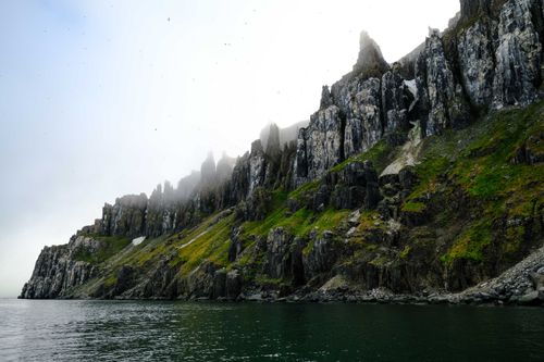Coastal cliffs under drifting mist, photo by Francesco Ungaro on Pexels