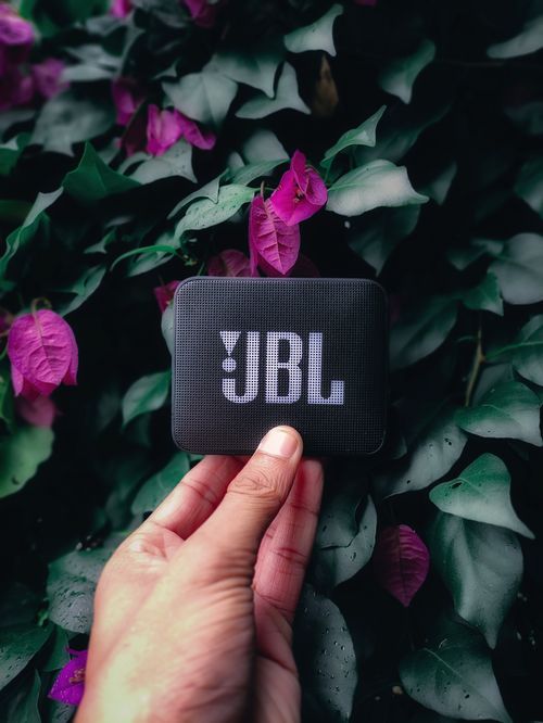 Free A hand holds a black portable speaker against a vibrant backdrop of green and purple foliage. Stock Photo