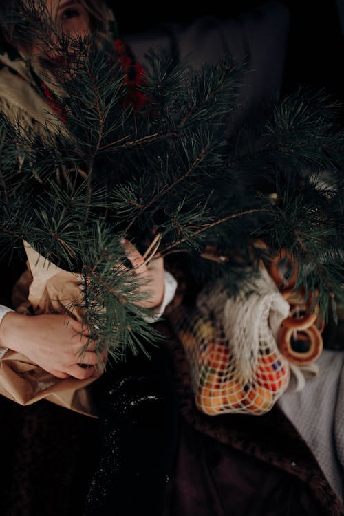 Foto stok gratis adat istiadat, hari Natal, pohon Natal