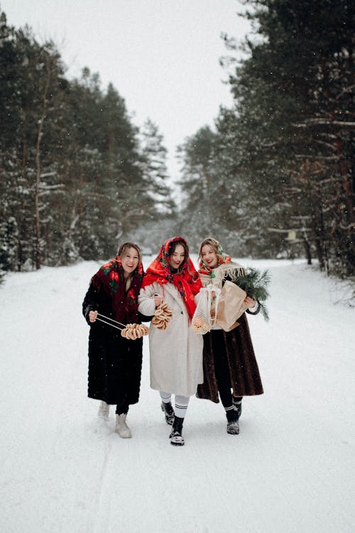 Бесплатное стоковое фото с вертикальный выстрел, женщины, зима