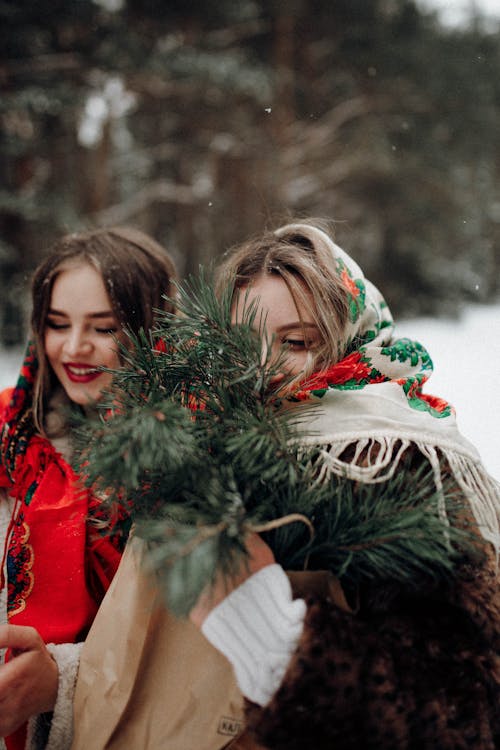 クリスマス, コールド, スカーフの無料の写真素材