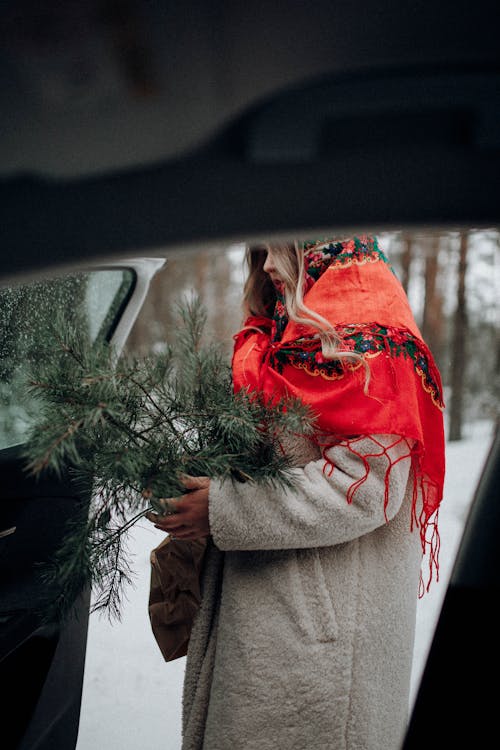 Foto stok gratis cabang pinus, dingin, hari Natal