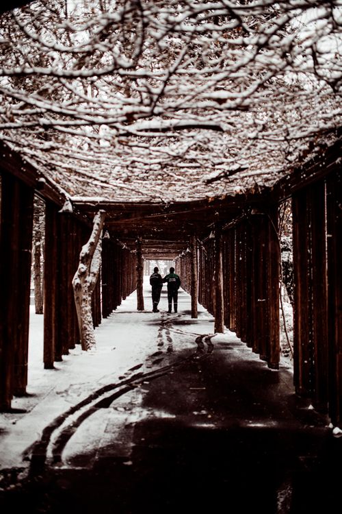 Free Two people walking under a pergola covered in snow, creating a picturesque winter scene. Stock Photo