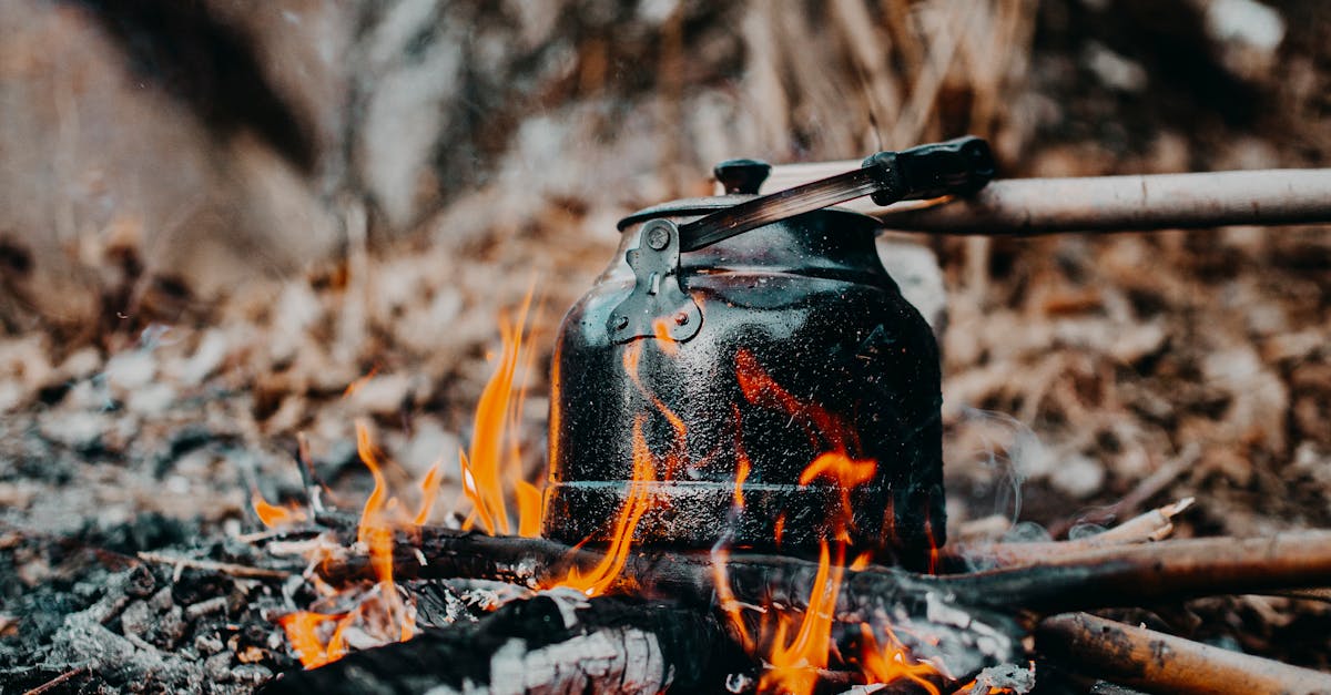歐洲火燒不停 今年燒毀面積創史上新高 氣候變遷警訊再響起