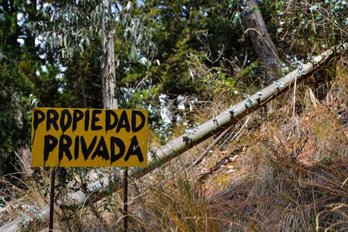 Foto d'estoc gratuïta de natura, panell de senyalització, propietat privada