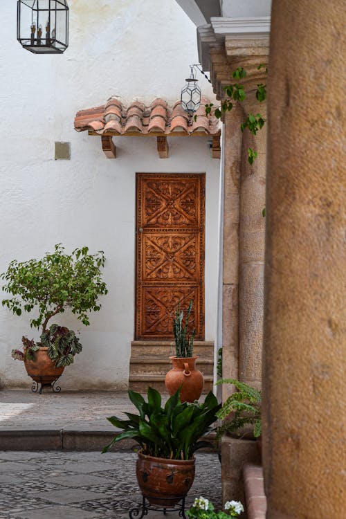Potted Plants Standing Outside of a Building with Carved Patterns on the Door 