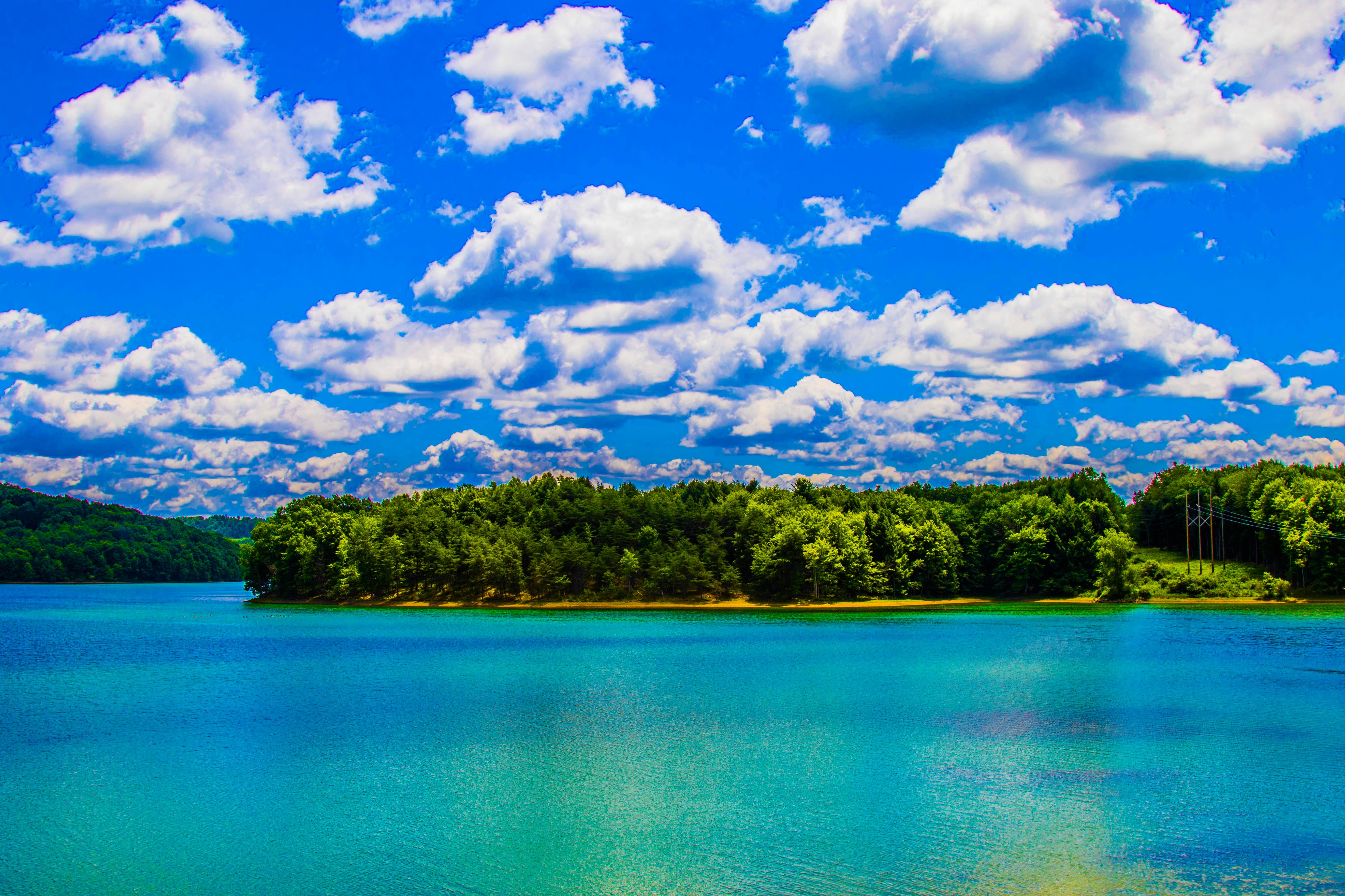 Free stock photo from Nicolas u00b7 Pexels