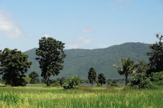 Scenic view of green fields and mountains in Kampot Province, Cambodia.