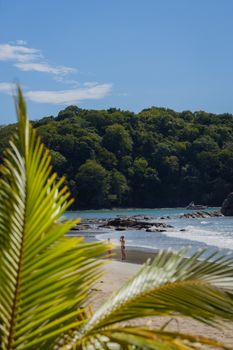 A serene tropical beach with palm leaves and lush green forest in sunny weather.