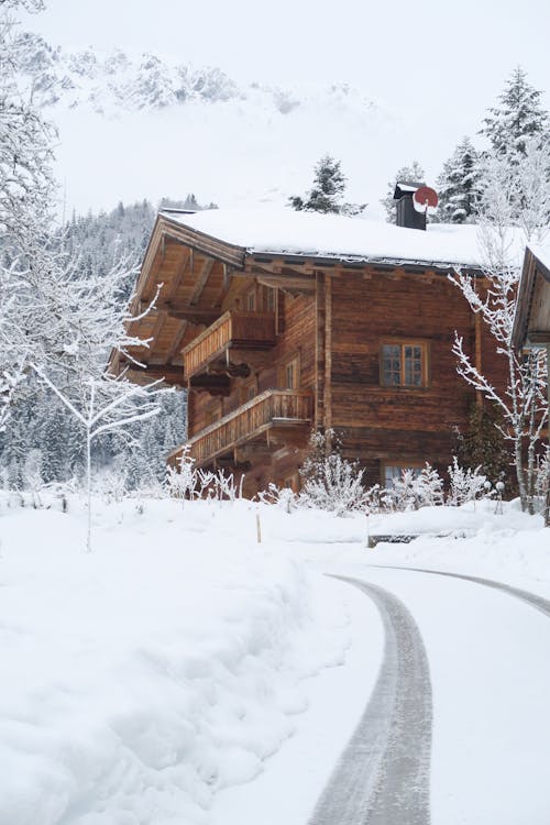 A Wooden House among Snowy Trees