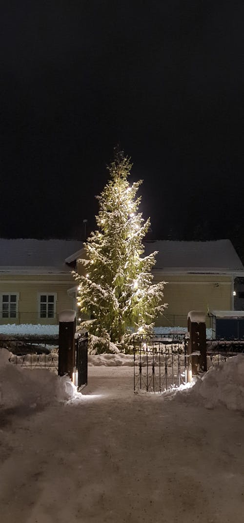 Ilmainen kuvapankkikuva tunnisteilla kevyt, lumi, talvi