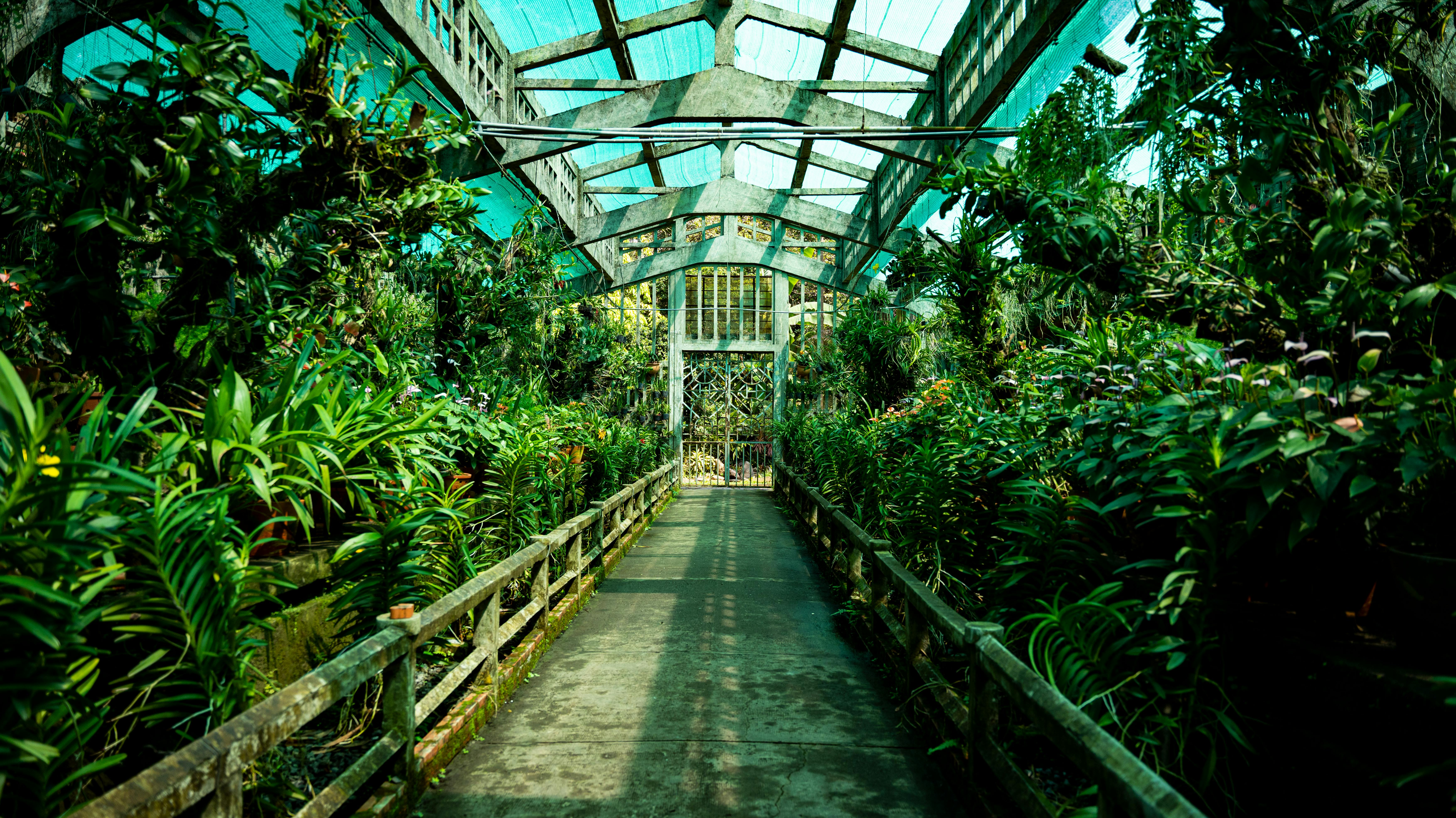 Urban Gardening Benefits to Biodiversity