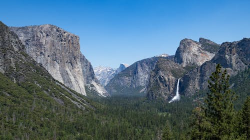 Deep Forest in Valley and Waterfall behind