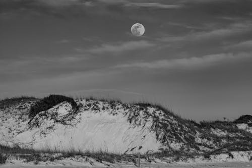 Fotobanka s bezplatnými fotkami na tému čierny a biely, duny, Florida