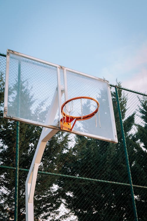 Foto d'estoc gratuïta de anella de la cistella de bàsquet, arbres, bàsquet