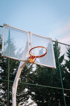 Basketball hoop on an outdoor court surrounded by tall spruce trees at sunset.