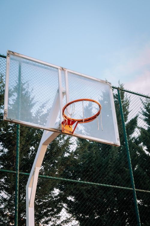 Free Basketball hoop on an outdoor court surrounded by tall spruce trees at sunset. Stock Photo