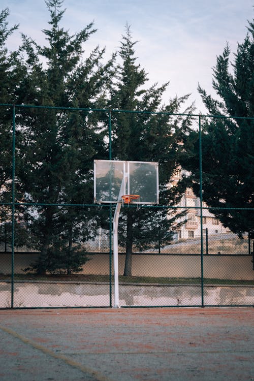 Basket on a Basketball Court
