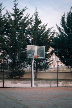 Vertical shot of an outdoor basketball court surrounded by tall pine trees, capturing the essence of urban recreation.
