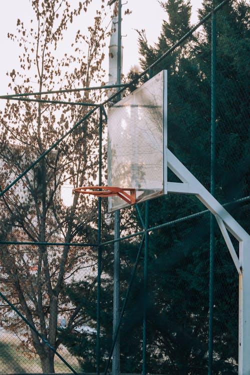 Basket on a Field 