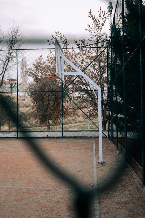 Basket on a Field 